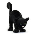 Spookipaws Cat